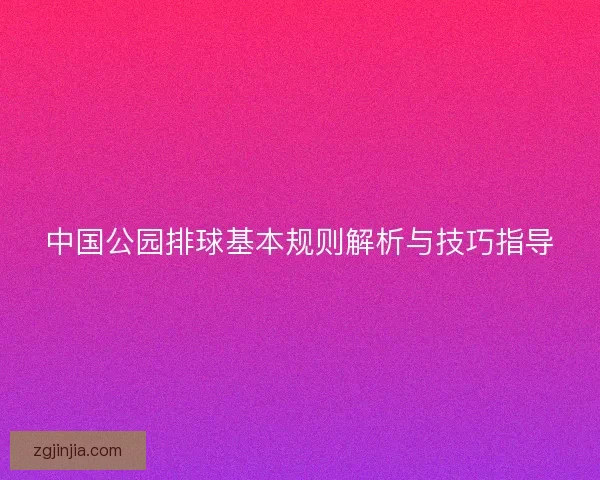 中国公园排球基本规则解析与技巧指导